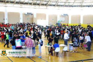 学校社团,多元兴趣汇聚的青春舞台