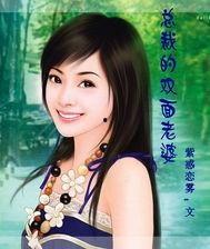 总裁夫人的双面身份,隐秘身份下的双重人生揭秘